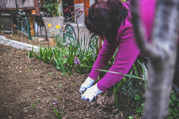 istock Grandma's advice: Before you begin planting, take a look at soil texture 1461746489