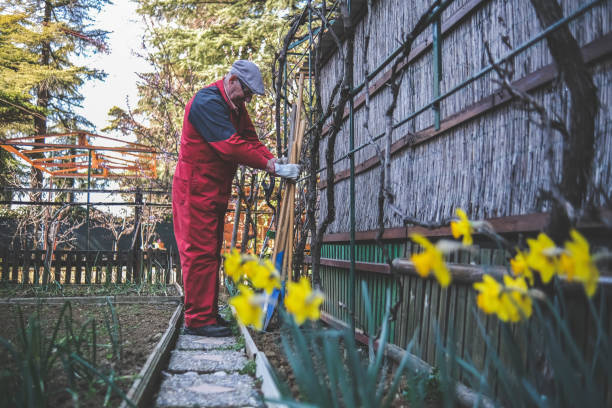 istock Retired senior getting ready for some gardening 1461747482