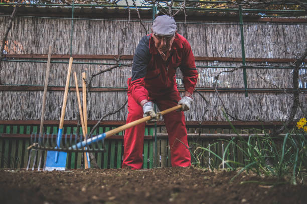 istock Retired gardener still working his job at home 1461747670