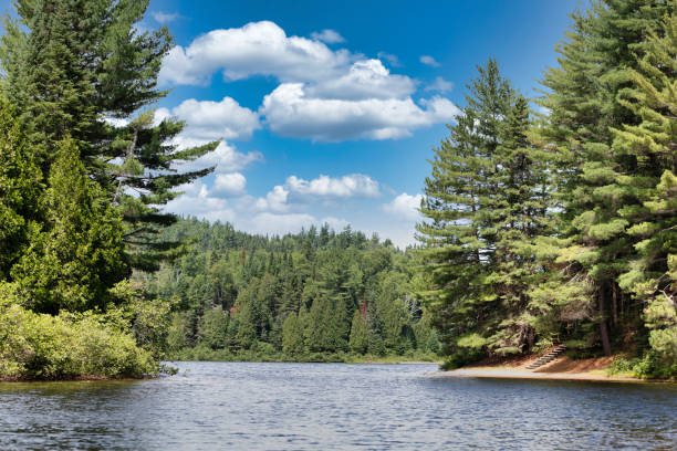 istock Wapizagonke Lake 1461752779