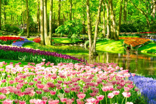 istock fresh lawn with flowers 1461760885