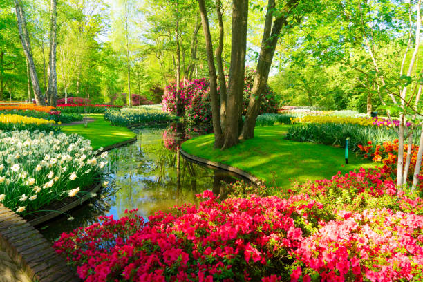 fresh lawn with flowers