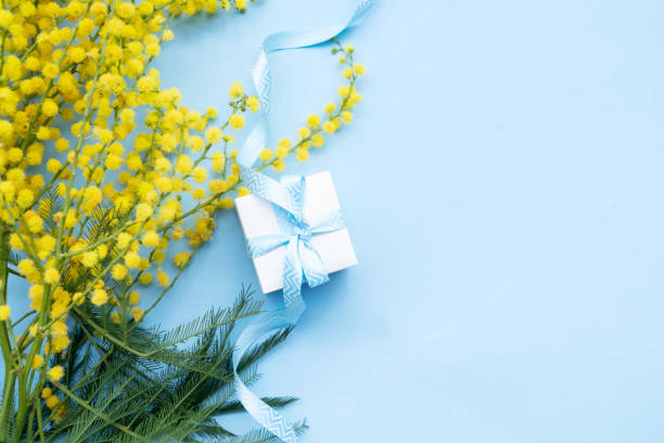 istock Mimosa flowers on blue background 1461761766