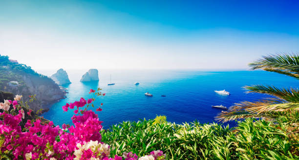 istock Capri island, Italy 1461762438