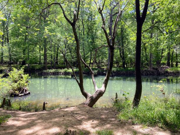 lago al pinnacle mountain state park - pinnacle foto e immagini stock