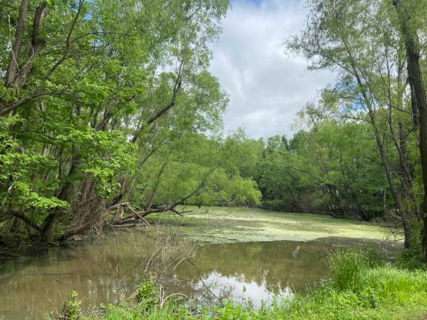 istock Two Rivers Park, Little Rock, Arkansas 1461765502