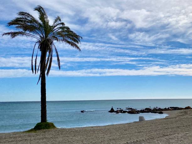 istock The beach near Duquesa in southern Spain 1461774229