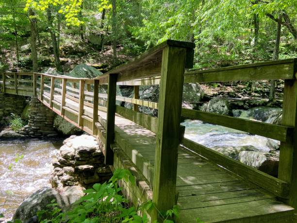 istock Wooden bridge over stream, Petit Jean State Park 1461779023