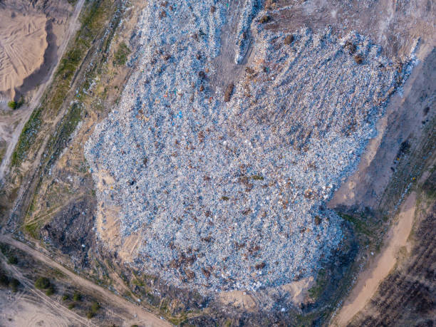 istock Aerial view of big dump. Ecological concept 1461780348