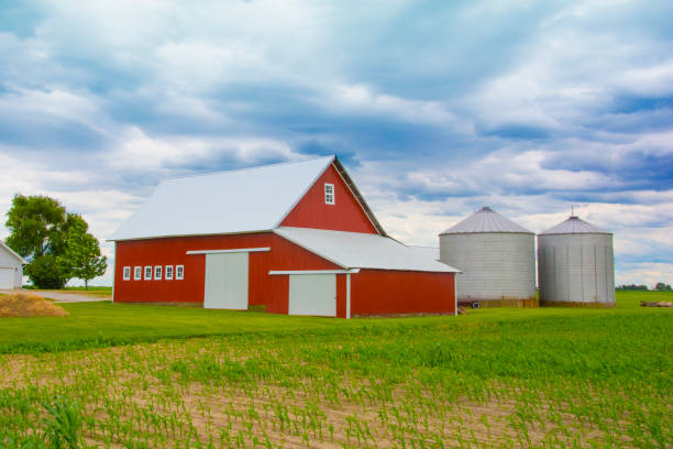 istock Barn- Red Barn with new corn-Clinton County Indidna 1461780409