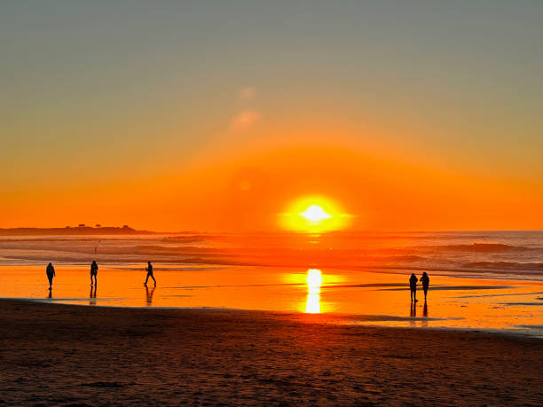 istock People walking on Asilomar State Beach at sunset 1461782310