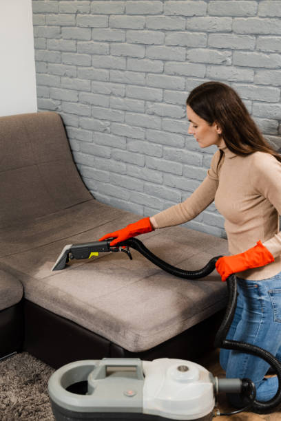 istock Domestic cleaning service cleaner is removing dirt and dust from couch using dry cleaning extraction machine. Line on couch after spraying water of dry cleaning extractor machine close-up. 1461784201
