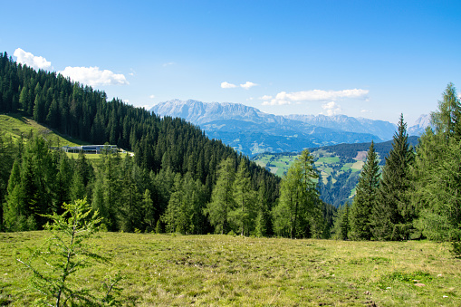 Panorama of Austrian Alps with forest and green meadow. Grafenberg Hill, Wagrain.