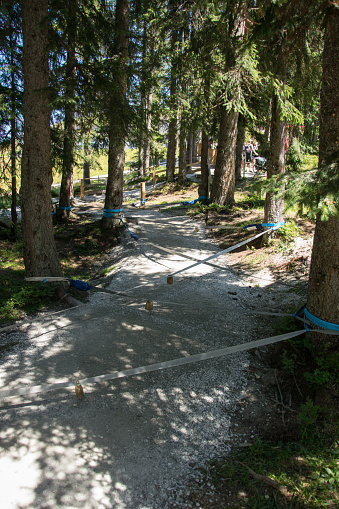A path in the forest with a rope obstacle course for children on the Grafenberg hill, Wagrain, Austria.