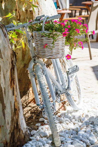 Decorative white bicycle with basket of pink flowers near the tree