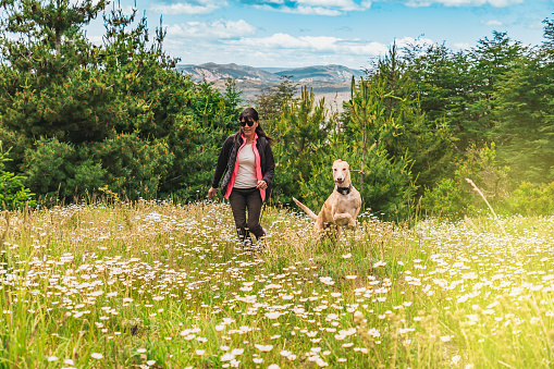 Latin woman and her dog together. Friendship between dog and pet owner. Woman running with her greyhound in nature.