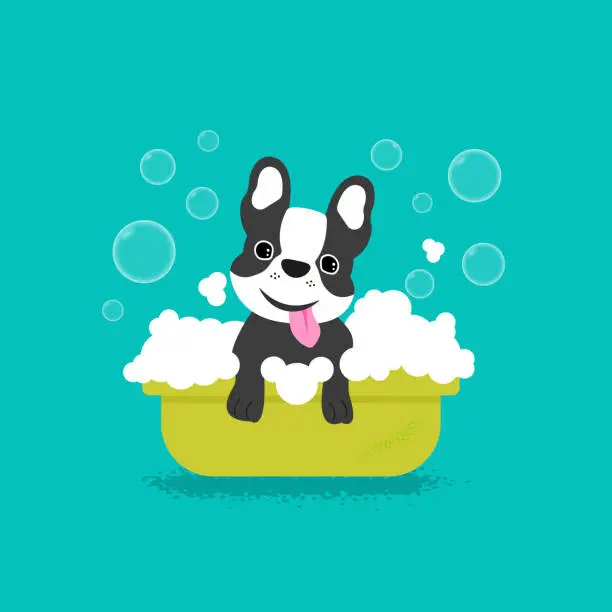Vector illustration of Dog bathing in grooming salon. Vector image
