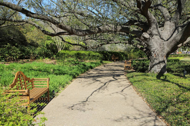 istock Alley with the bench and tree 1461787754