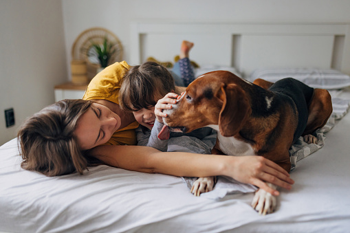 Mother, daughter and hound dog are lying on the bed in the bedroom, hugging, kissing, enjoying each other's company