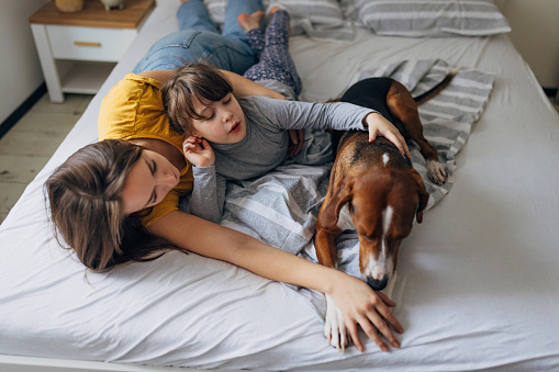A little girl and her mother are hanging out with their tricolor dog while lying on the bed in the bedroom