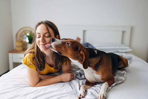 Un perro de peluche besa a su dueño mientras se acuesta en la cama del dormitorio photo