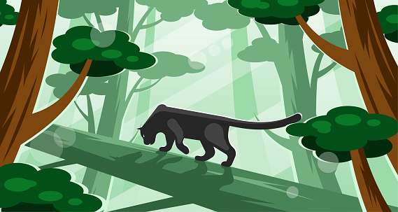 Black panther sneaking over a fallen tree in the thicket of the forest. Vector illustration