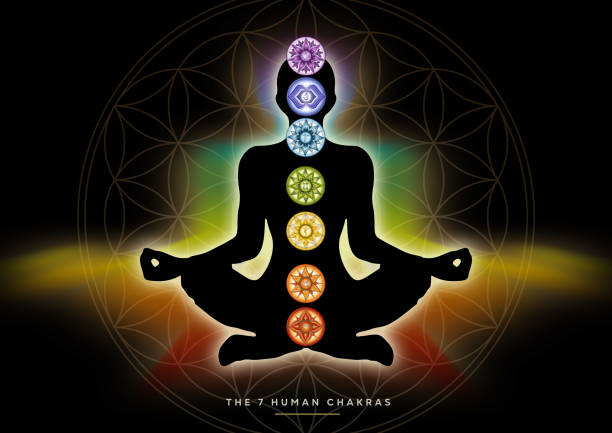 Human silhouette in yoga pose with chakras and Flower of Life Powerful decor for meditation and chakra energy healing. Perfect for kinesiology practitioners, massage therapists, reiki healers, yoga studios or your meditation space.
Crown Chakra (Sahasrara), Third Eye Chakra (Ajna), Throat Chakra (Vishuddha), Heart Chakra (Anahata), Solar Plexus Chakra (Manipura), Sacral Chakra (Svadhisthana), Root Chakra (Muladhara) Flower of Life (Sacred Geometry) chakra stock illustrations