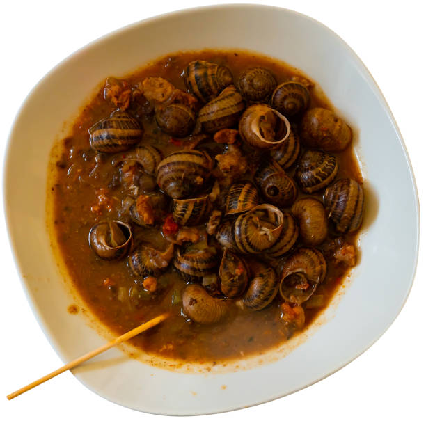 istock Dish of snails prepared at spanish style 1461806837