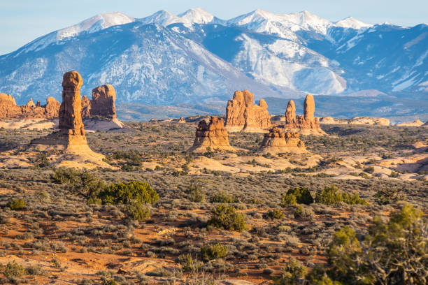 istock Rock formations with distant snow-covered mountains in the distance 1461813513