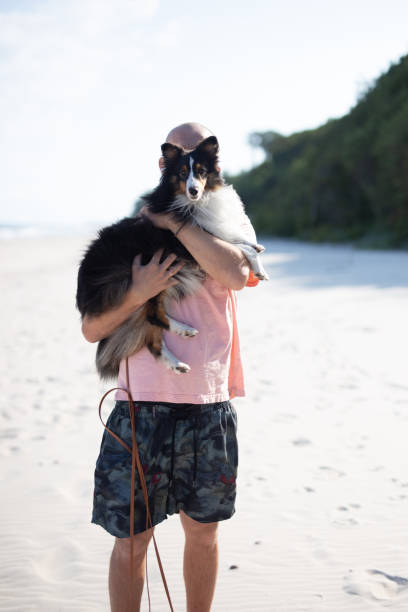 Only one adult Man on Beach with a Shetland Sheepdog. Baltic Sea. Poland