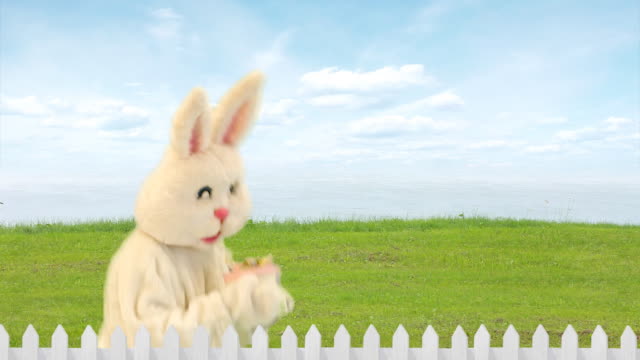 Easter Rabbit Gift