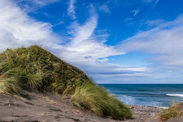 istock Taranaki Beaches And Sky New Zealand 1461844372