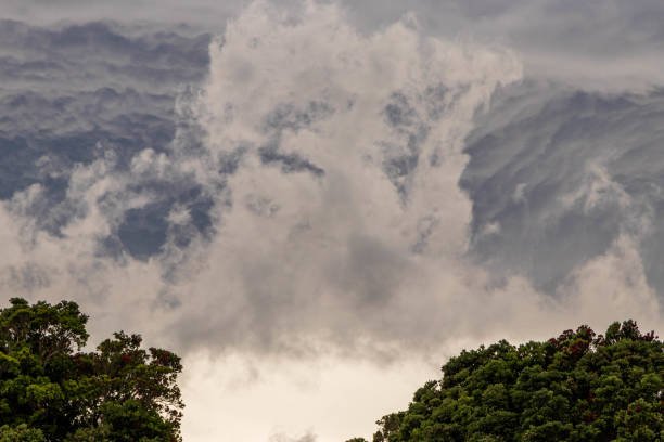 istock Summer Storm Taranaki Region 1461853367