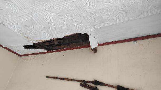 istock dirty and messy living room due to a collapsed ceiling 1461866267