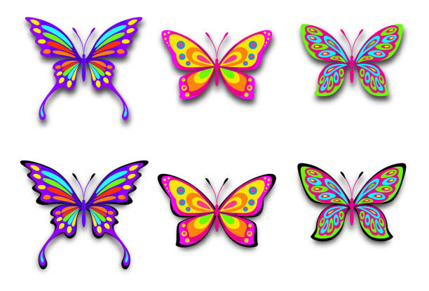 farfalla - illustrazione arte vettoriale