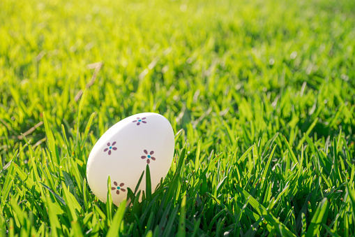 Close-up of a decorated easter egg on the grass, ready for the search game.