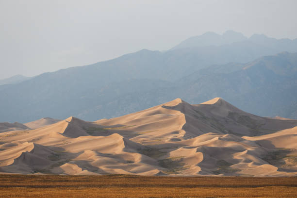 istock Great Sand Dunes National Park 1461894596