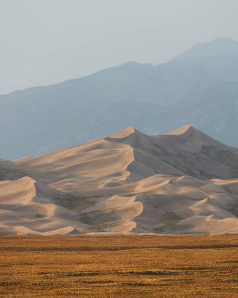 istock Great Sand Dunes National Park 1461894617