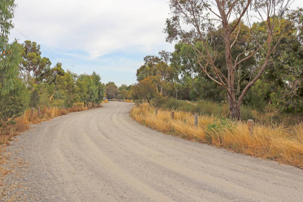 istock curving dirt road in australian bushland 1461899768