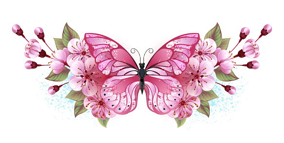 Symmetrical composition of artistically painted pink butterfly and pink japanese cherry blossoms on white background. Pink sakura.