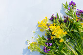 Colorful wildflowers, spring Flowers composition on a white or beige or light gray background. Flat lay, top view, copy space
