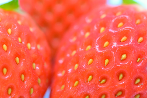 closeup beautiful fresh red strawberry, texture of fruit