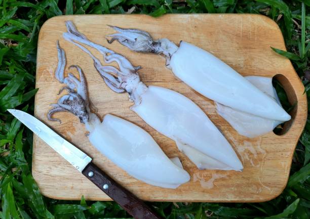 Cutting and cleaning Squid - food preparation.