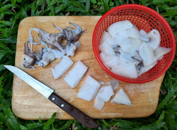 istock Cutting and cleaning Squid - food preparation. 1461920892