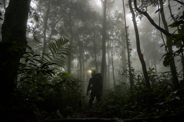 Man walking and exploring rainforest at night surrounded by thick fog