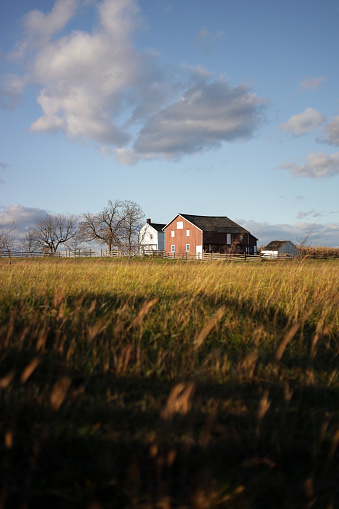 Gap, USA - November 11, 2023. Animals at an Amish farm in Lancaster, Pennsylvania, USA