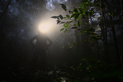 Man walking and exploring rainforest at night surrounded by thick fog