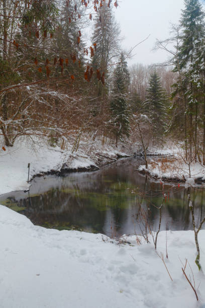 istock Saula blue springs (siniallikad in Estonian) at snowy winter 1462000965