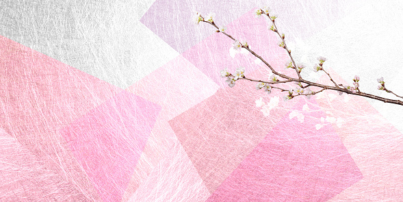 Pretty cherry blossom twig clipping