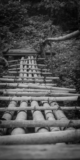 Black and white photo of bamboo bridge